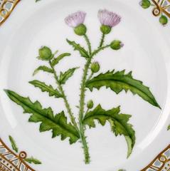Royal Copenhagen Flora Danica Openwork Plate