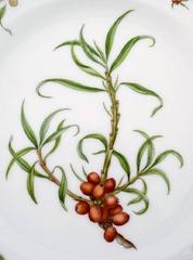 Royal Copenhagen Flora Danica Openwork Plate