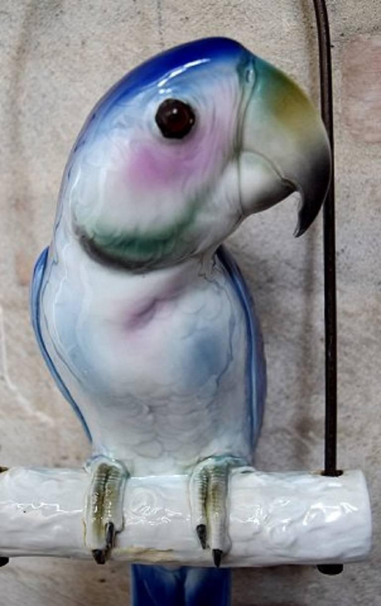 Italian Large Capodimonte, Naples Parrot Porcelain in Overglaze, Hand-Painted