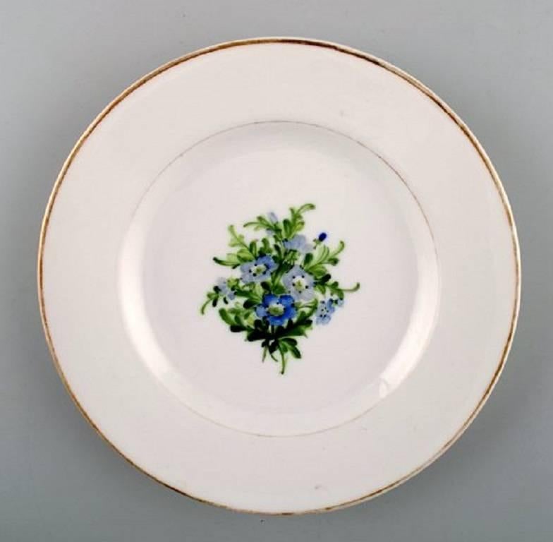 Seven Antique Royal Copenhagen Plates in Flora Danica Style 3