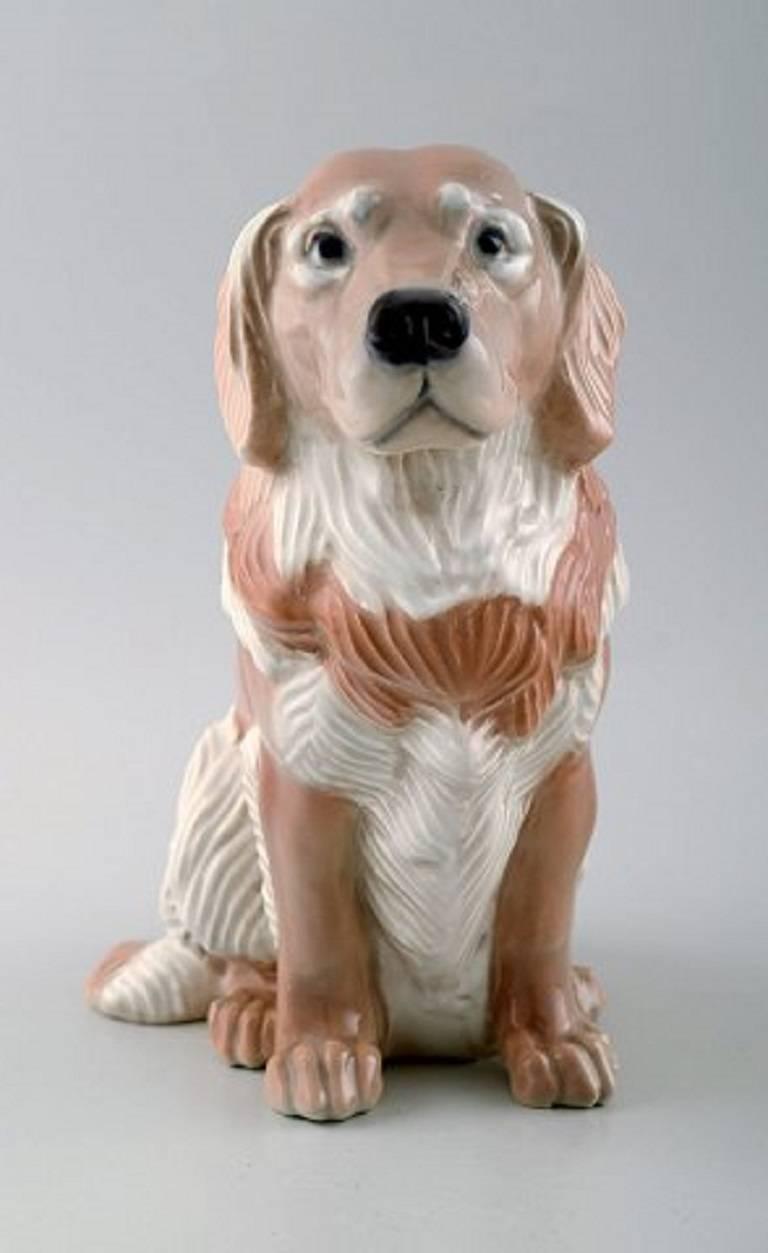 Royal Copenhagen number 5136, Golden Retriever.

Measures 18 cm. 

Designed by Jeanne Grut.

1. factory quality, in perfect condition.