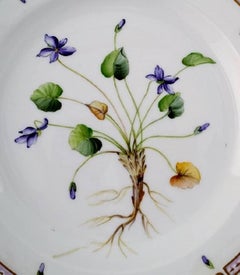 Royal Copenhagen Flora Danica Dinner Plate # 20/3549