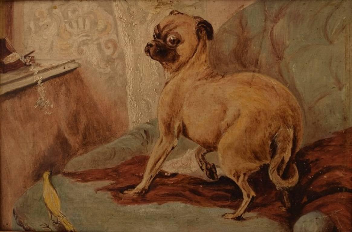 Early 20th century, unknown English painter.
Dog and bird in interior.
Oil on board.
Signed illegible on the back.
Measures: 29 cm. x 19 cm. The frame measures 3 cm.
In perfect condition.