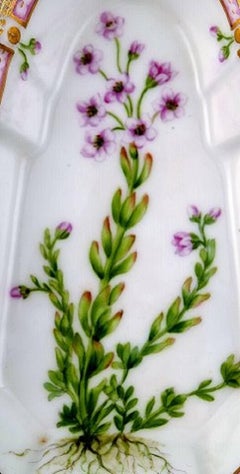Antique Royal Copenhagen No. 20/3543 Flora Danica, Dish with Handle