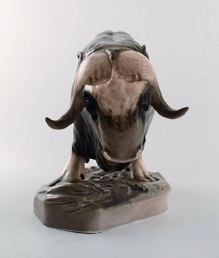 Rare and early Royal Copenhagen Musk ox, porcelain figure, no. 530. 
Designed by Erik Nielsen in 1903.
Measures: 29 cm. x 21 cm.
In perfect condition.
1st. Assortment.