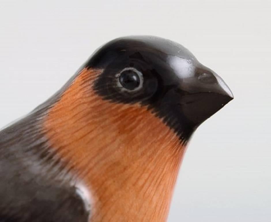 Modern Meissen Figure, Bird in Porcelain