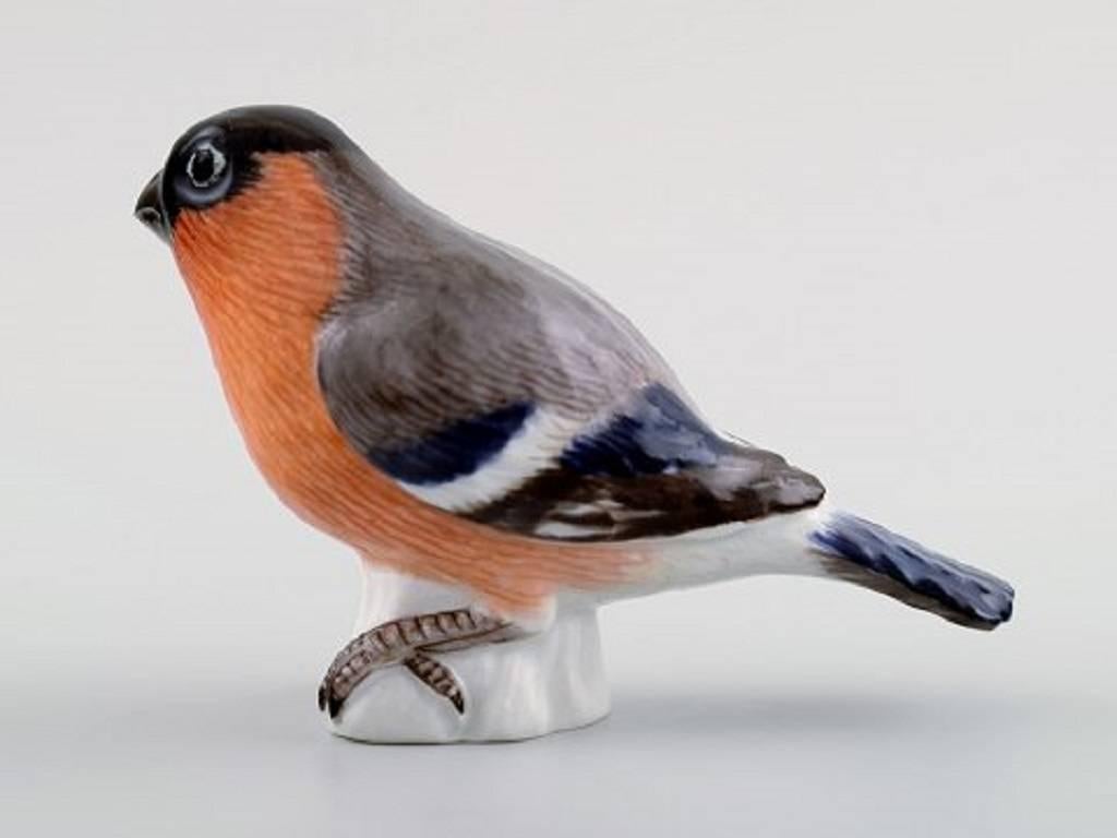 German Meissen Figure, Bird in Porcelain