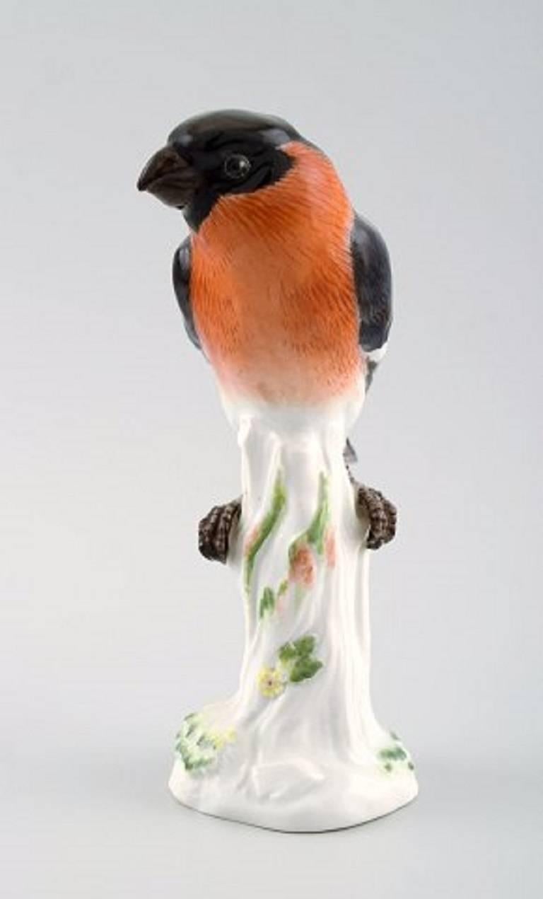 Modern Meissen Figure, Bird in Porcelain