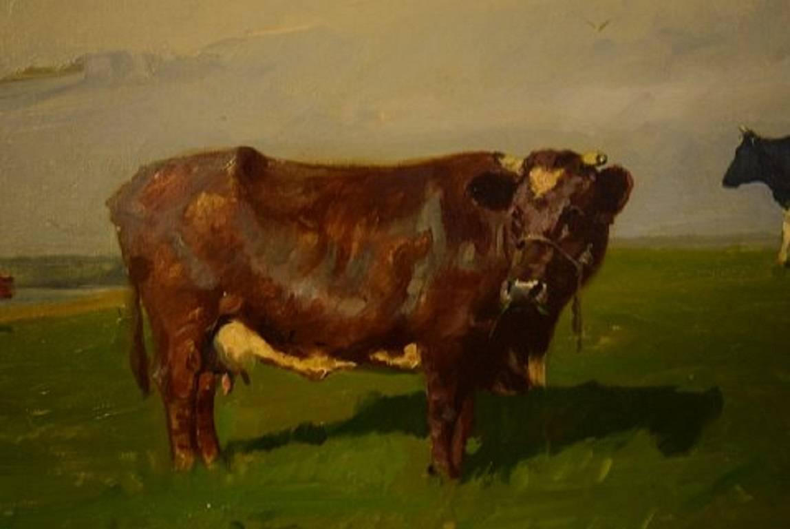 Danish Gunnar Bundgaard, Cows on the Field, Oil on Canvas
