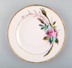 6 antique Royal Copenhagen plates hand decorated with flowers. App. 1850s
