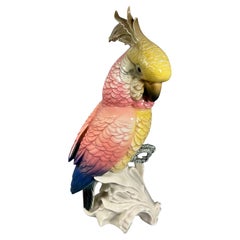 Early 20th Century Large Cackatoo Parrot Karl Ens 13 inches