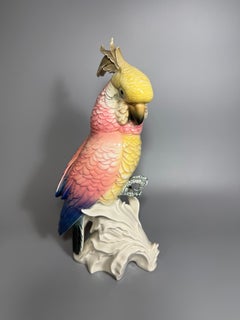 Early 20th Century Large Cackatoo Parrot Karl Ens 13 inches