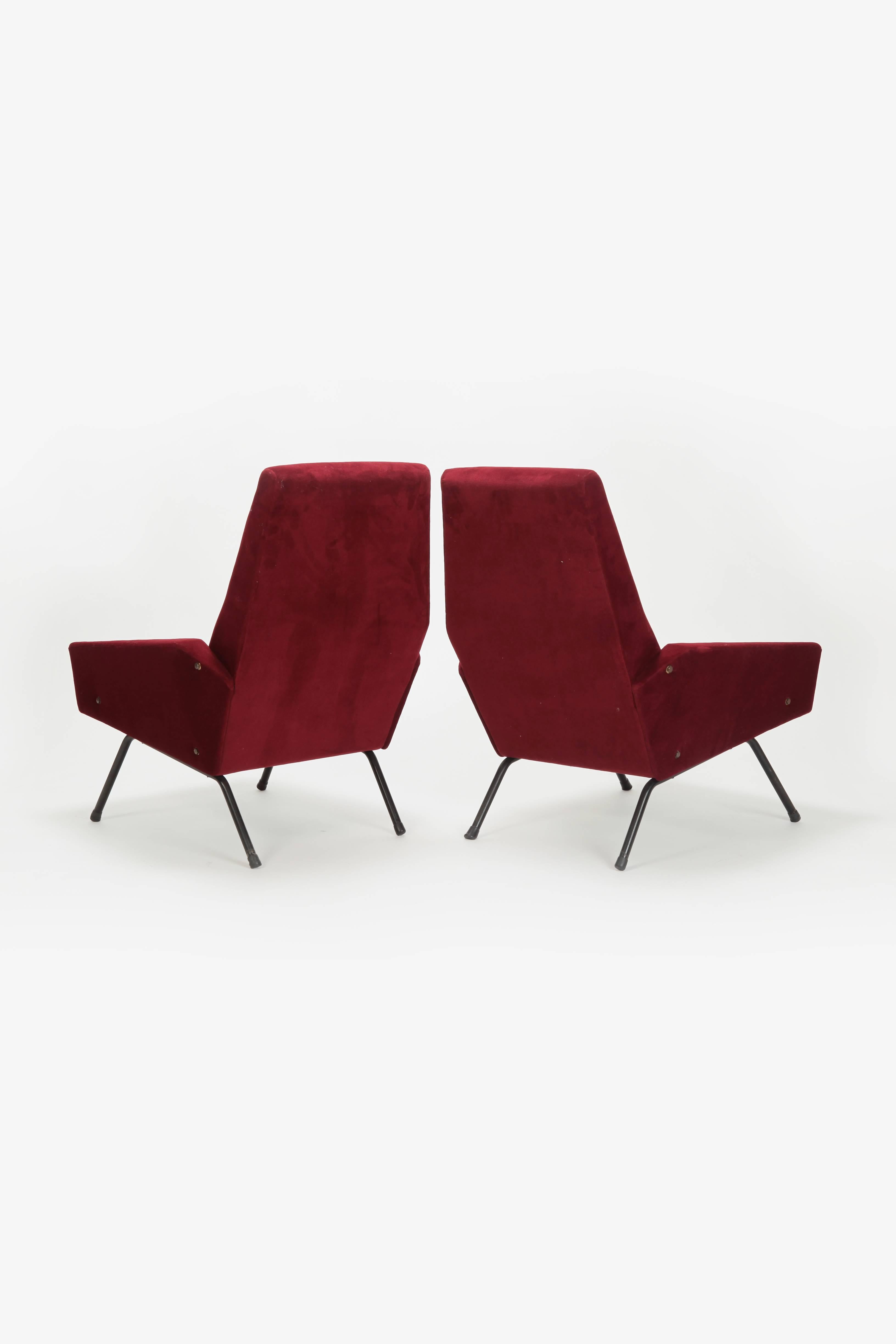 Mid-Century Modern Pair of Gianfranco Frattini Velor Chairs, 1950s