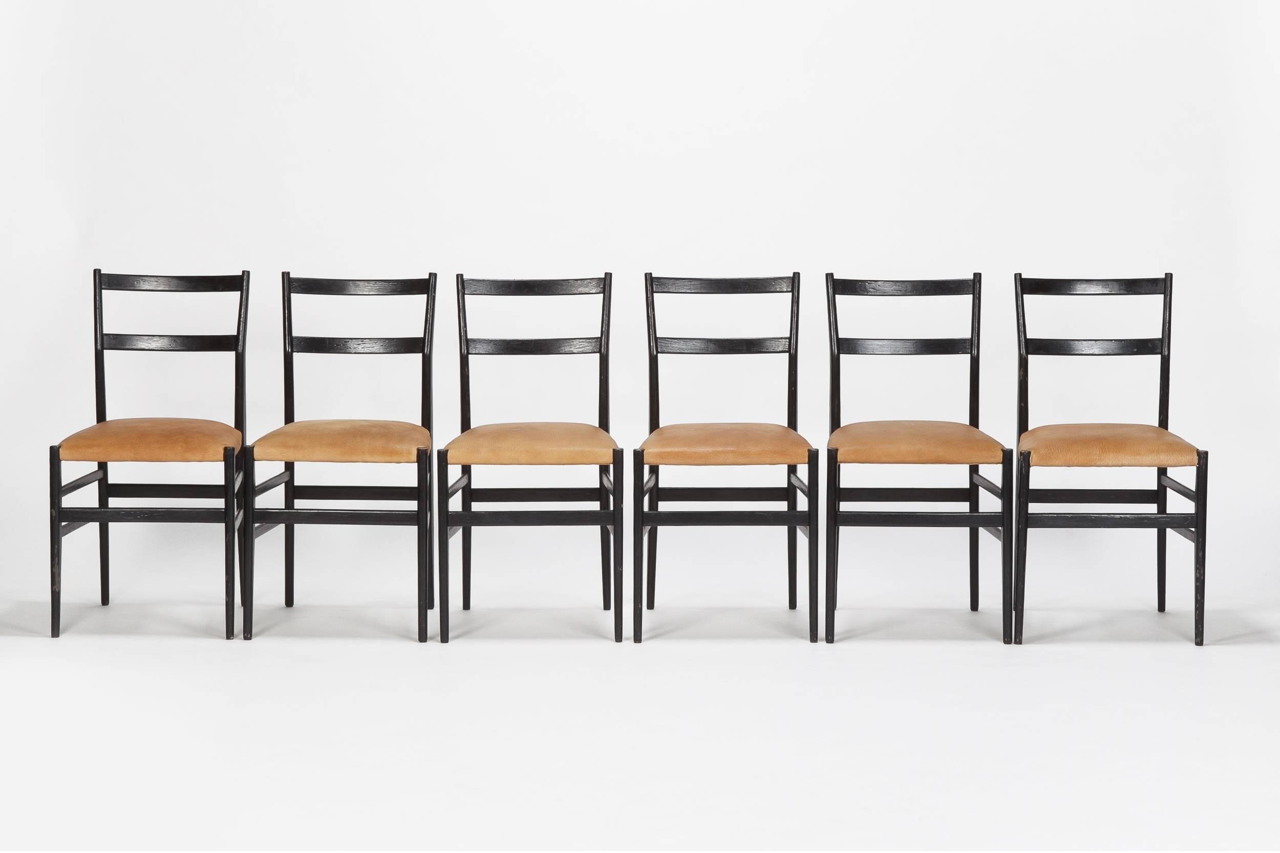 Leather 12 Gio Ponti Leggera Chairs by Cassina, 1950s For Sale