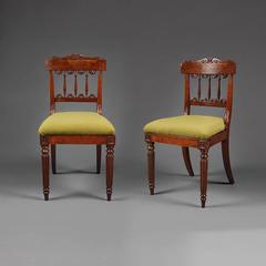Pair of William IV Burr Oak Side Chairs