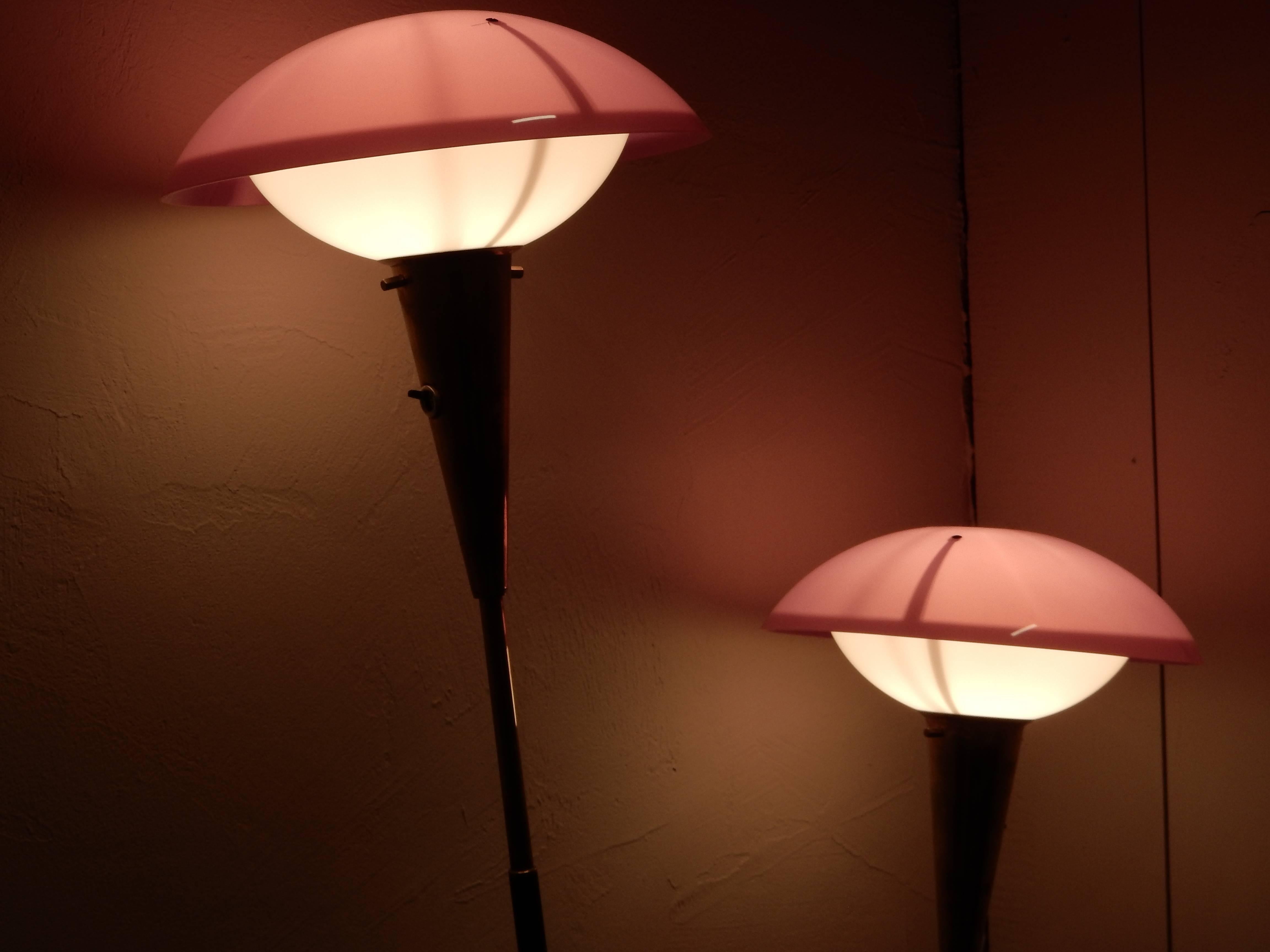 A Beautiful 2 Lights Stilnovo 1960 Floor Lamp 1