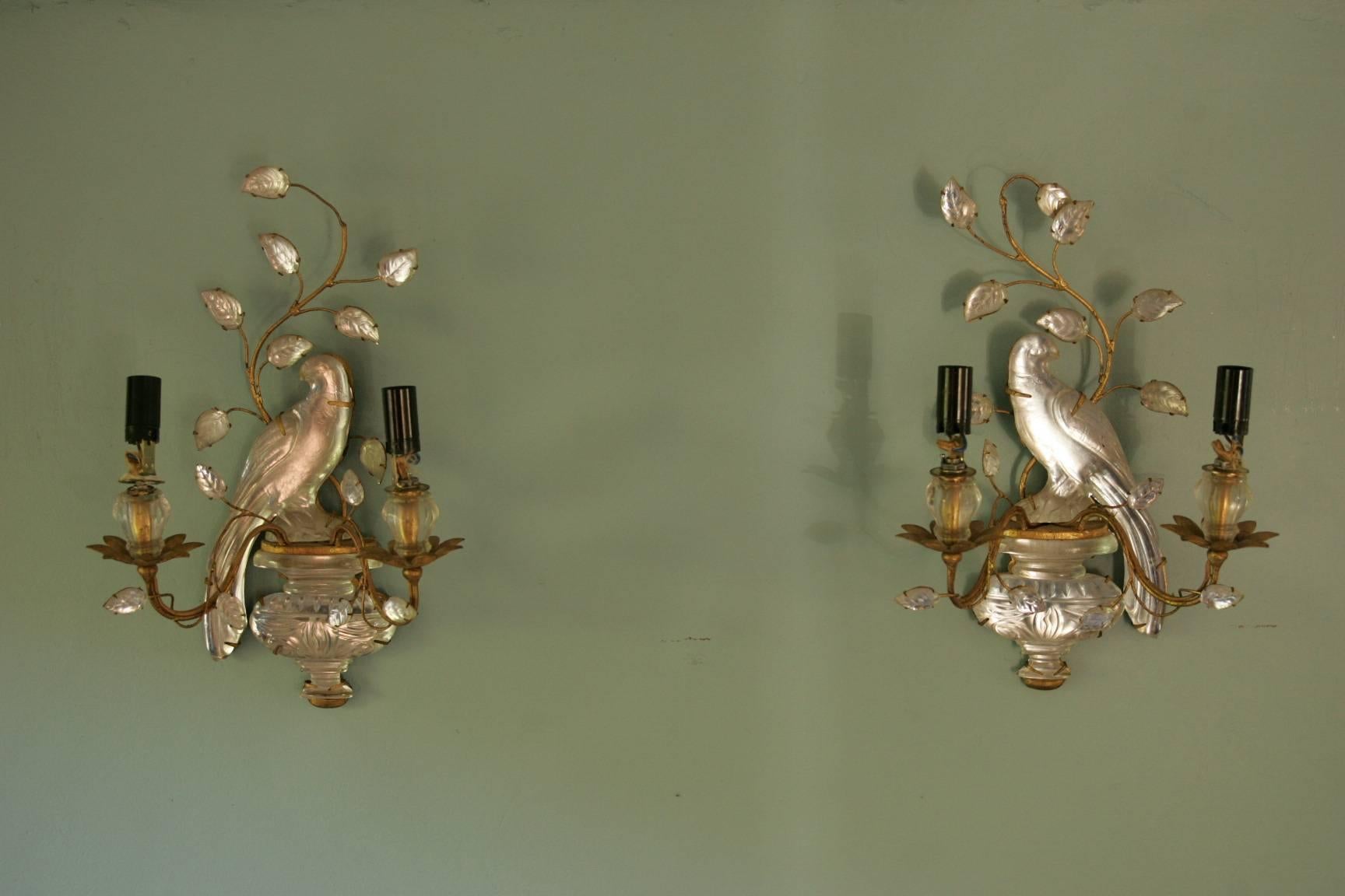 Metal Maison Baguès Pair of Parrot Sconces, 1960