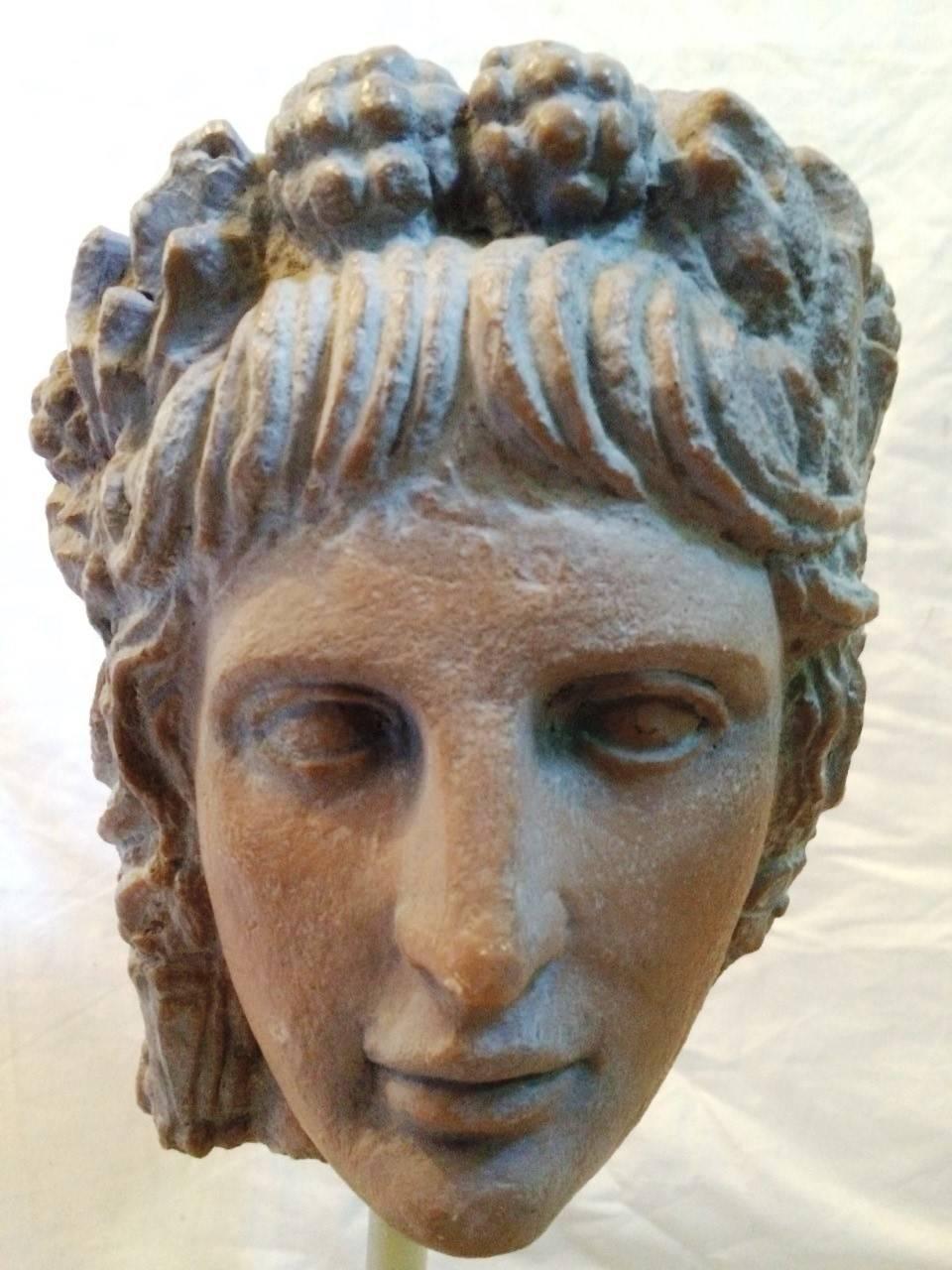 A Vatican Museum edition of an antique Roman head In Good Condition For Sale In London, GB