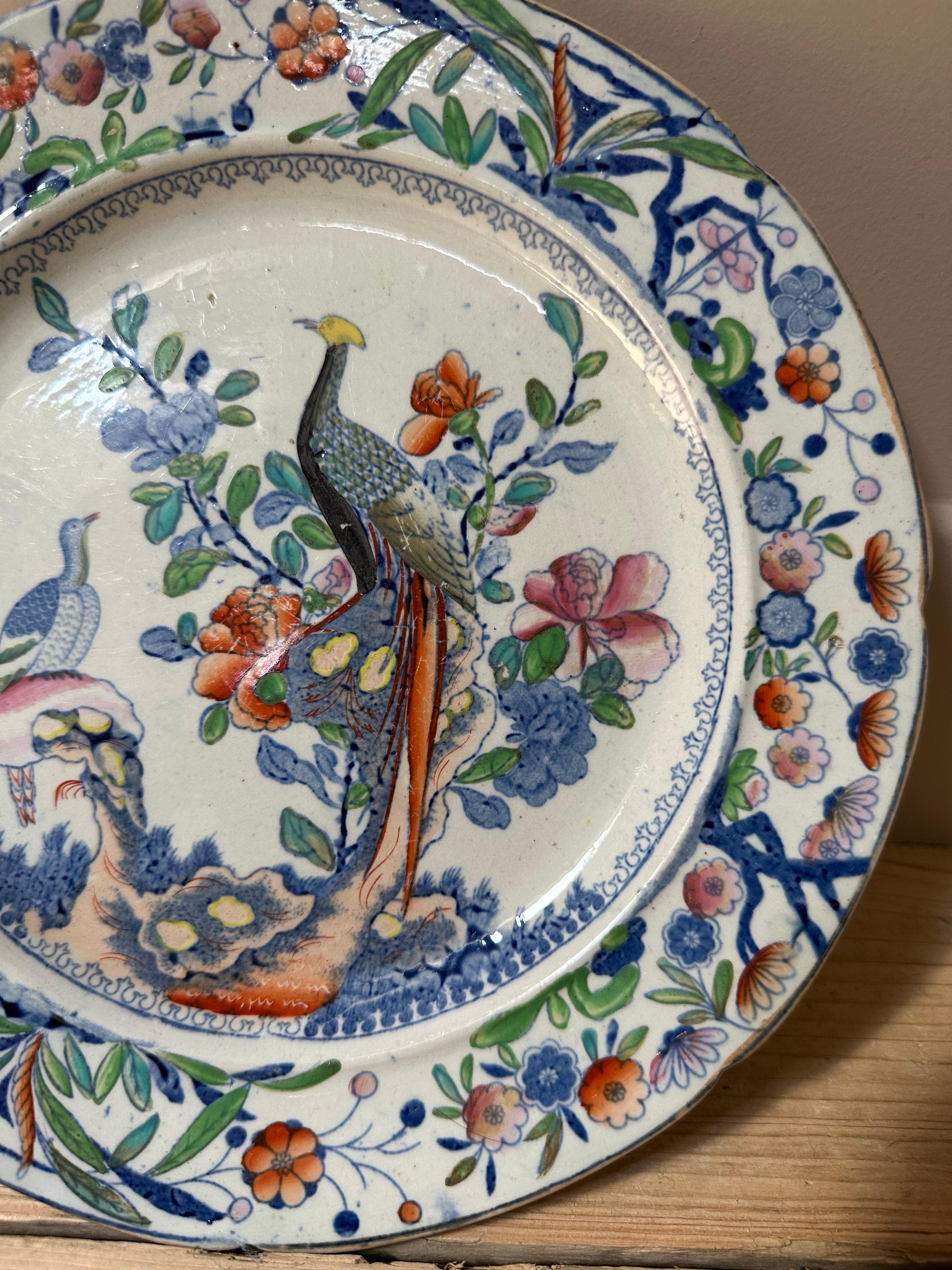 Regency Piatto in pietra di Staffordshire con pavoni e bordo floreale del XIX secolo in vendita