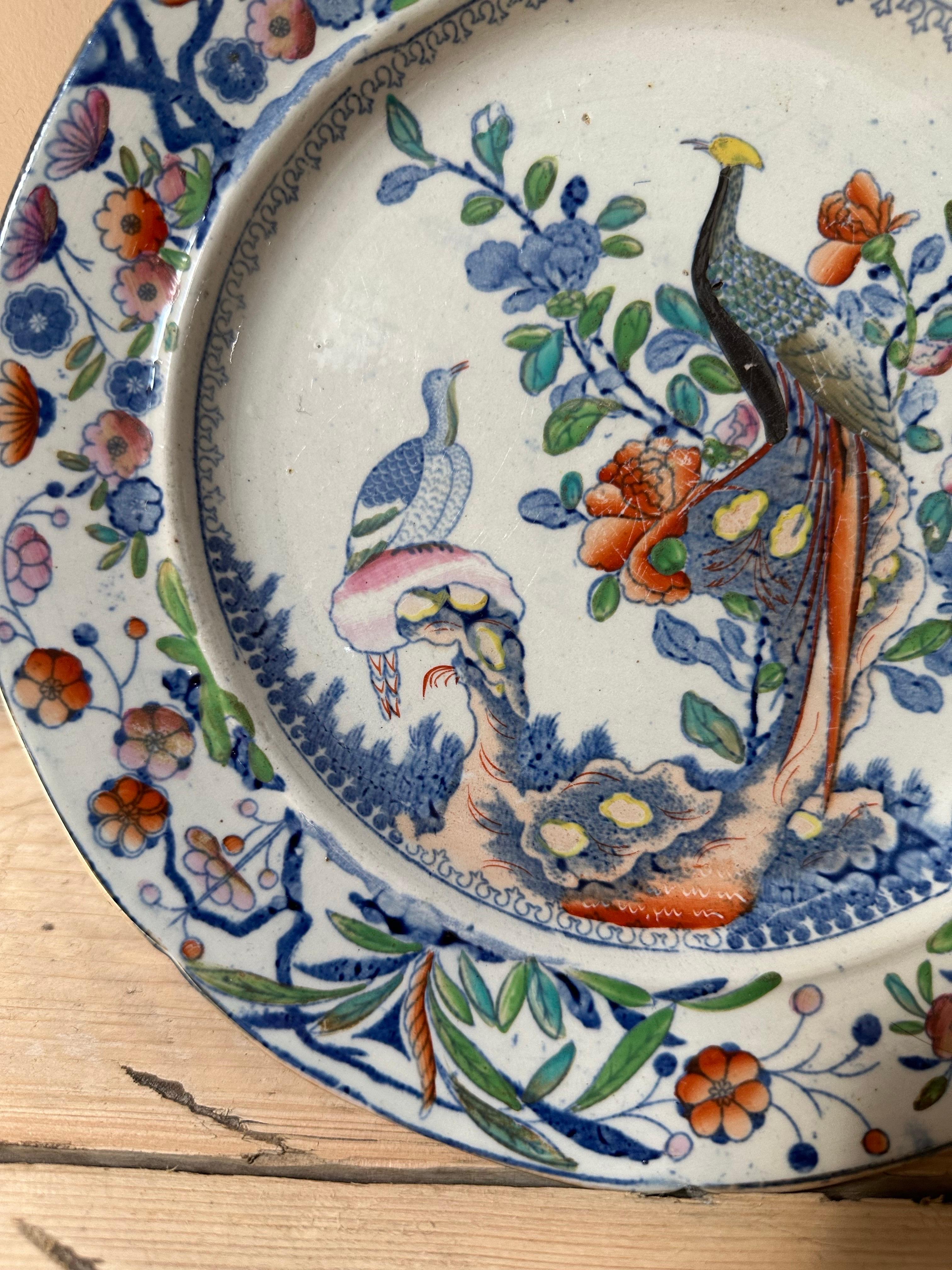 Inizio XIX secolo Piatto in pietra di Staffordshire con pavoni e bordo floreale del XIX secolo in vendita