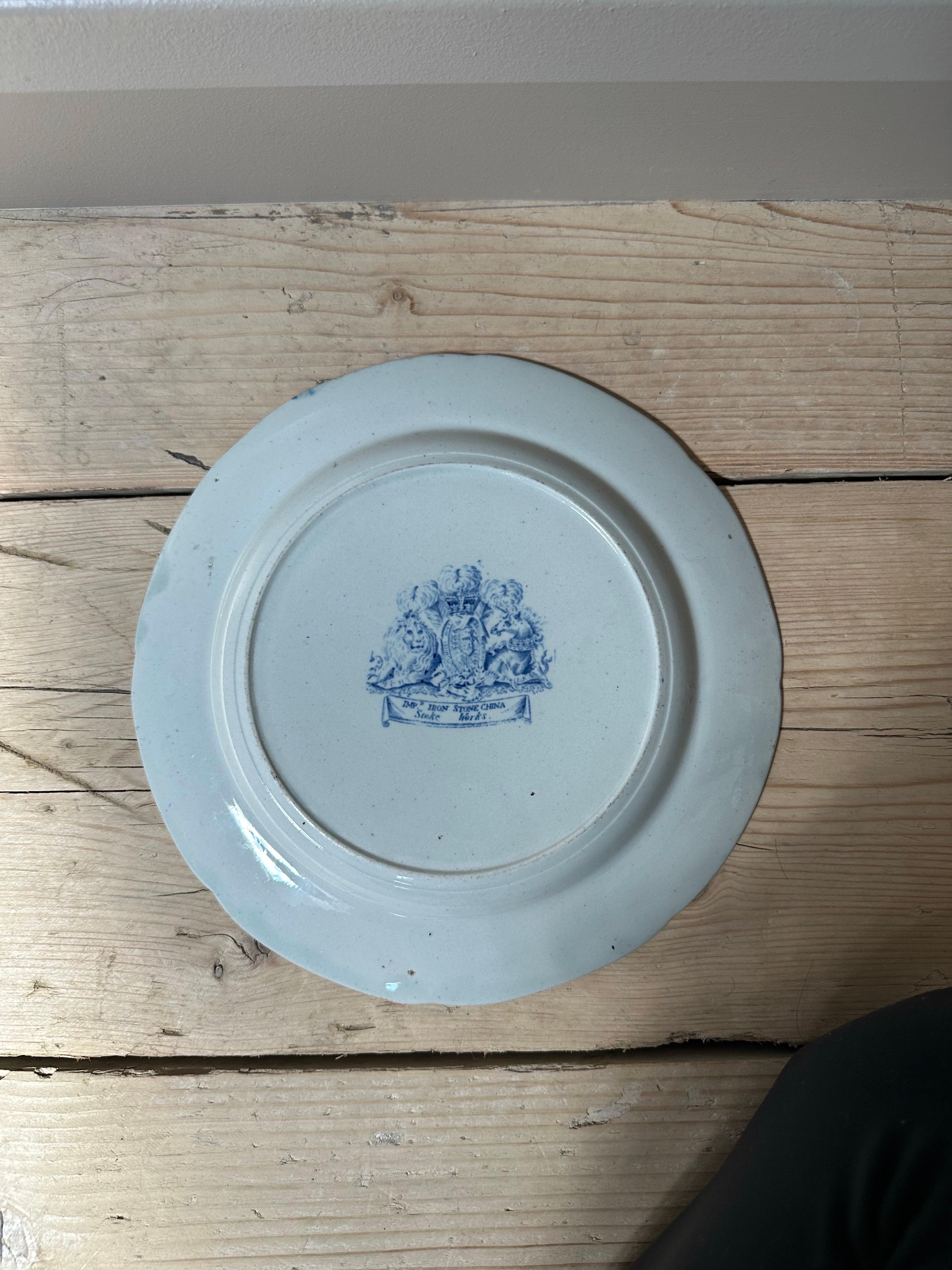 Piatto in pietra di Staffordshire con pavoni e bordo floreale del XIX secolo in vendita 9