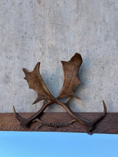 Large Swiss Alpine Decorative Deer Antler Wall Mirror