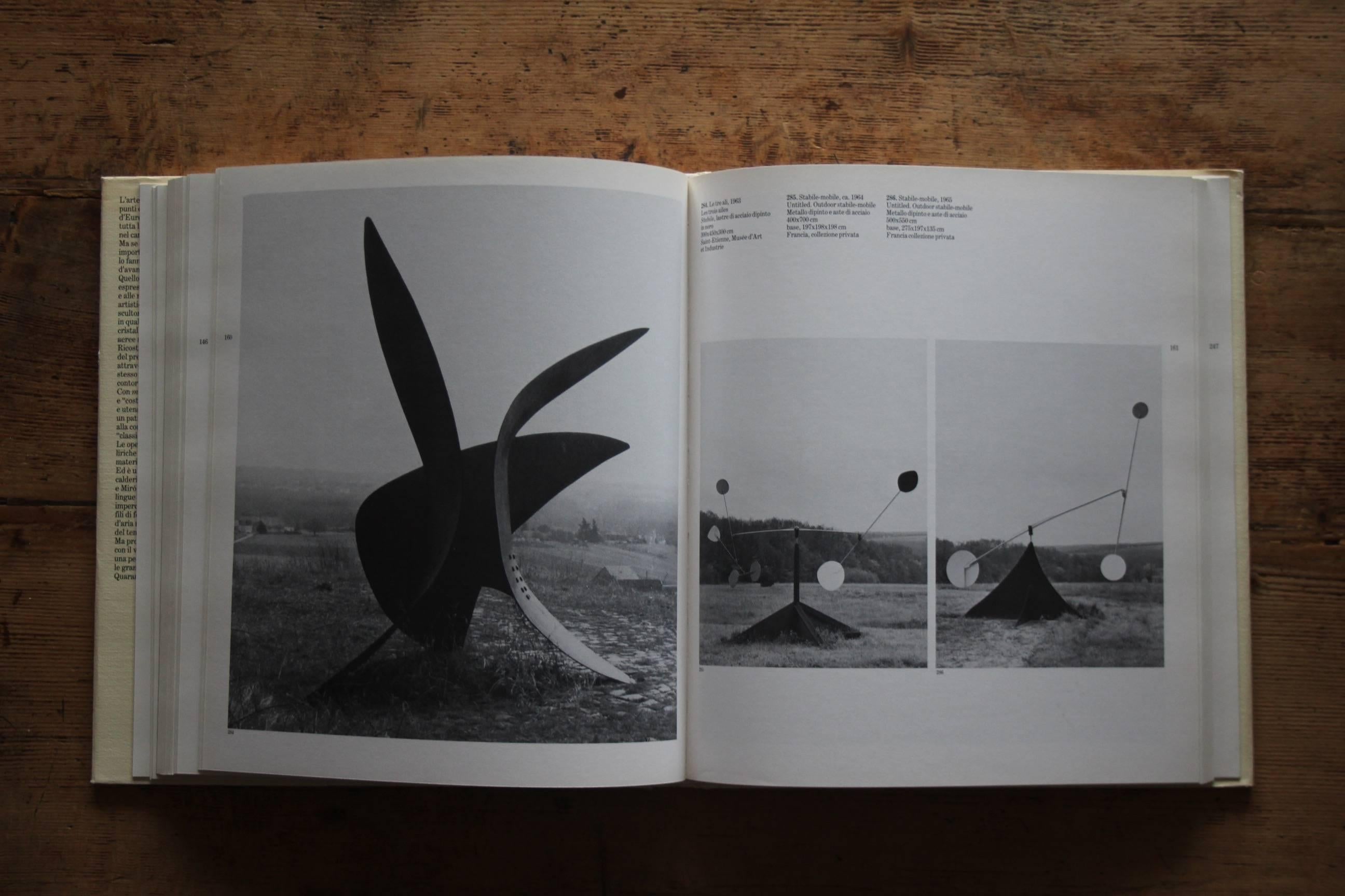 Calder Book In Good Condition In grand Lancy, CH