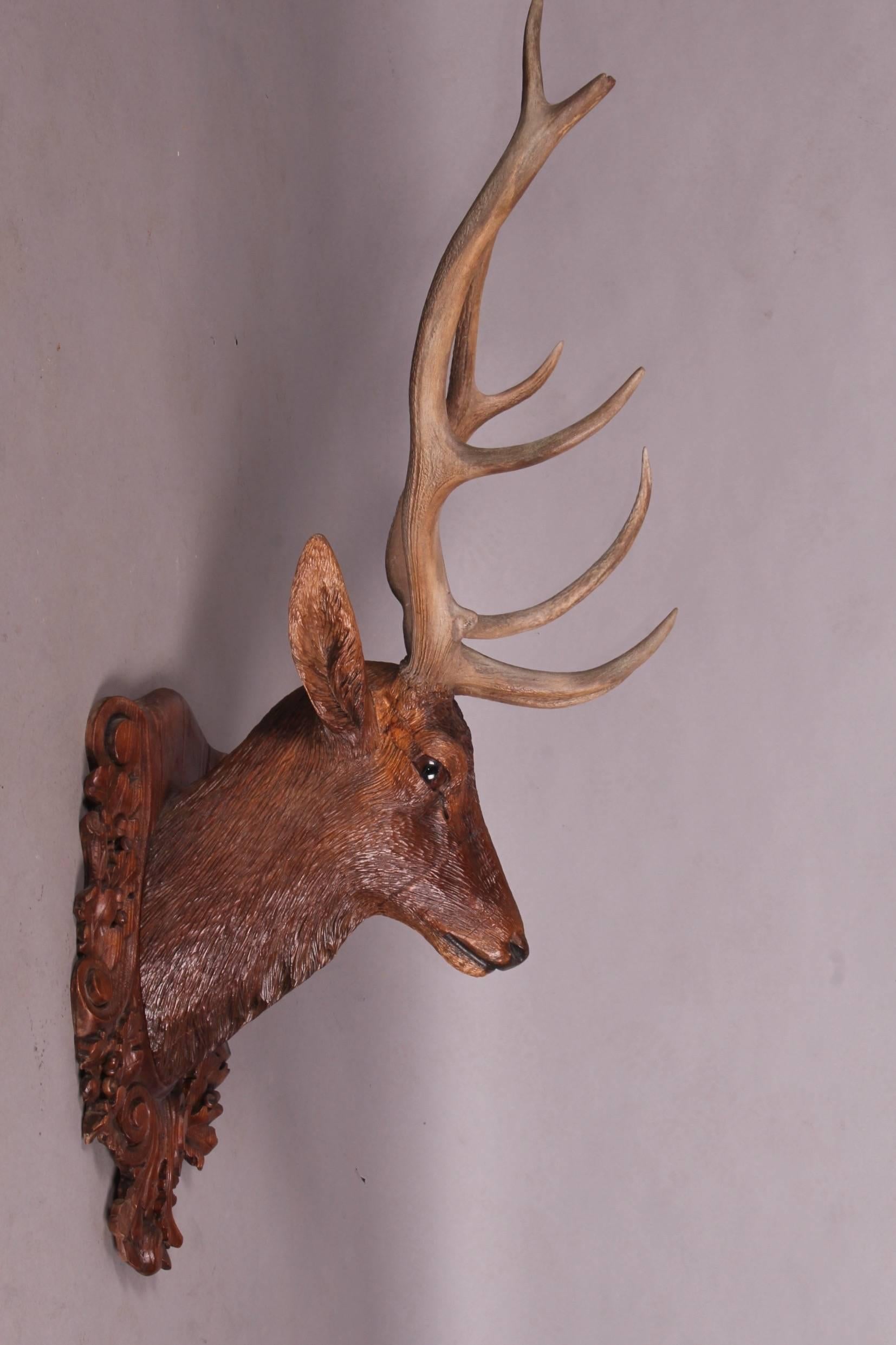 Pair of Black Forest Lifesize Stag Head 1