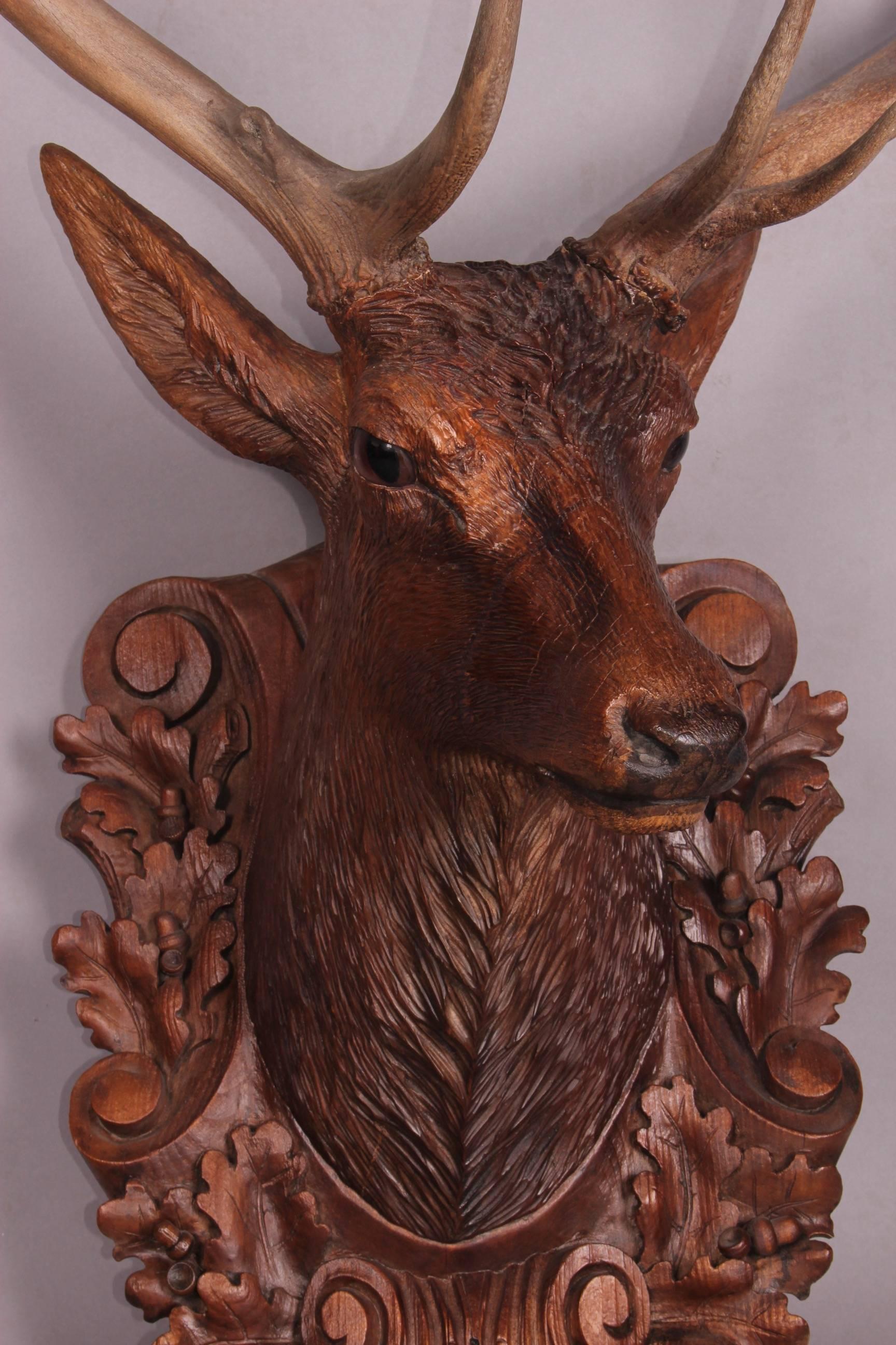 Pair of Black Forest Lifesize Stag Head 4