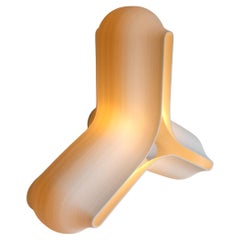 Lumen S/ Birch