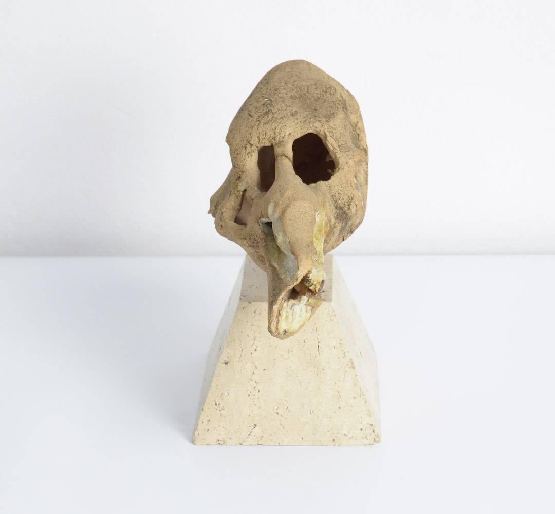 Modern Special Ceramic Sculpture Vanitas