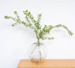 Rare Crystal Glass Globe Vase by Val Saint Lambert