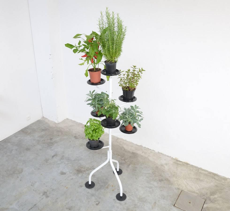 This plant stand is a great design by the great Achille Castiglioni for Zanotta in 1982.
Albero is a multi-armed flowerpot Stand. The structure is composed of a tubular steel rod supported by a tripod resting on three black disks.
The branches are