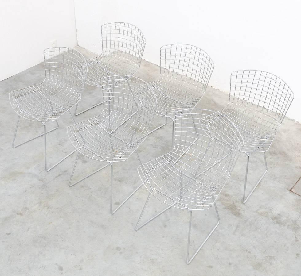 Belgian Set of Six Wire Chairs by Harry Bertoia for Knoll International De Coene