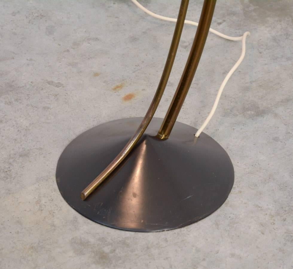 20th Century Exclusive Floor Lamp of the 1950s
