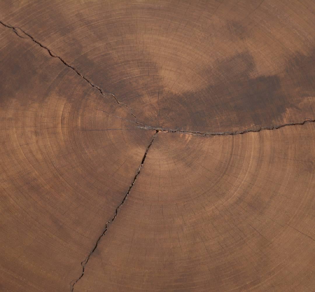 Extraordinary Tree Trunk Dining Table 1