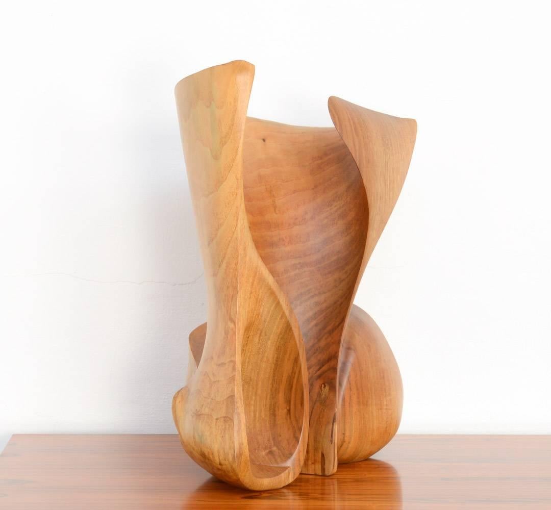 Organic Modern Amazing Organic Abstract Wooden Sculpture