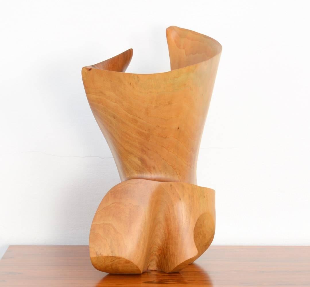 Late 20th Century Amazing Organic Abstract Wooden Sculpture