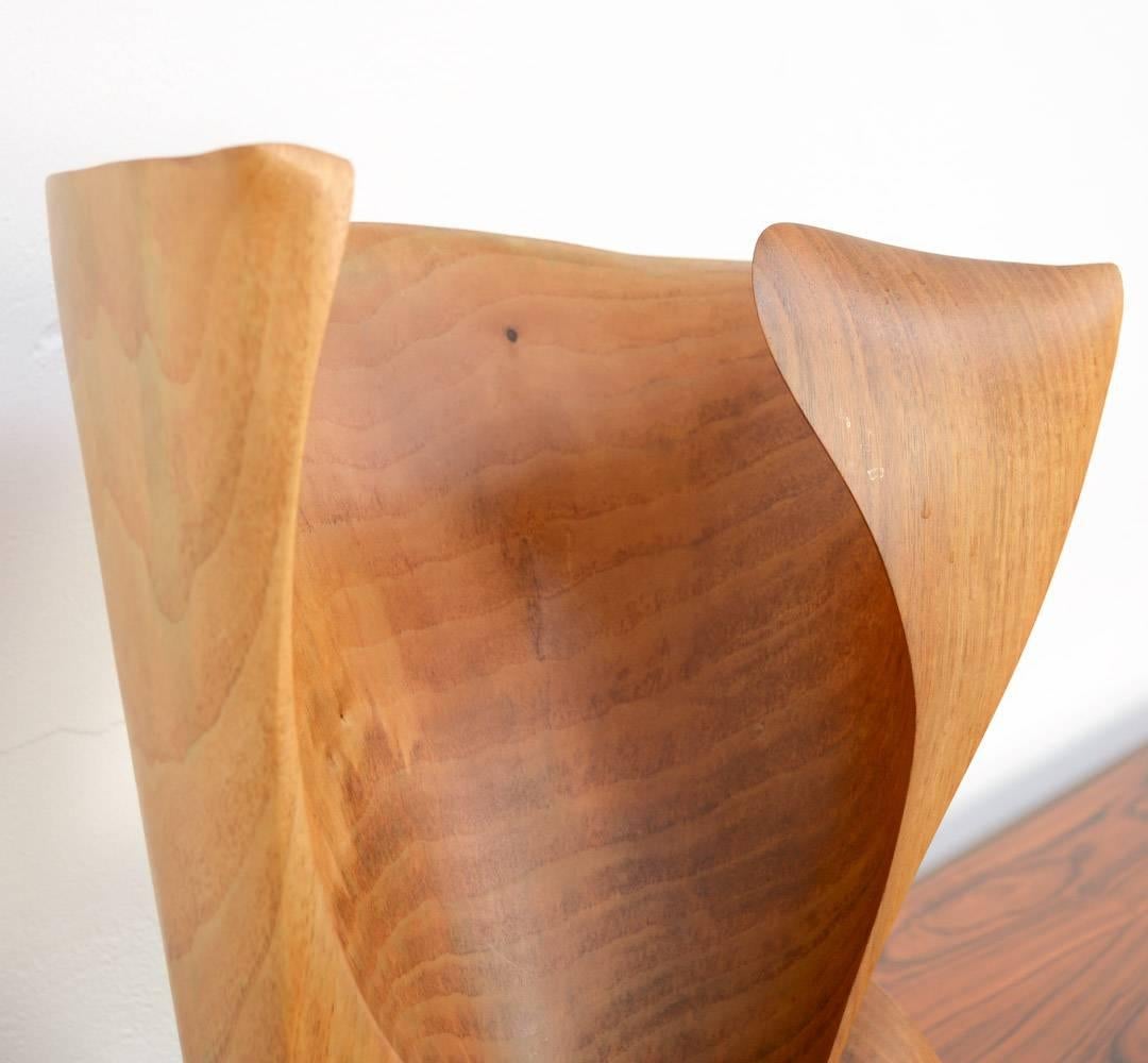 Amazing Organic Abstract Wooden Sculpture 1