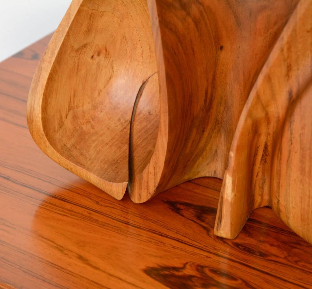 Amazing Organic Abstract Wooden Sculpture 2
