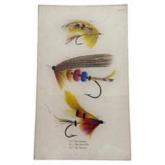 Contemporary Decoupage Glass Tray with Antique Fishing Fly Illustrations