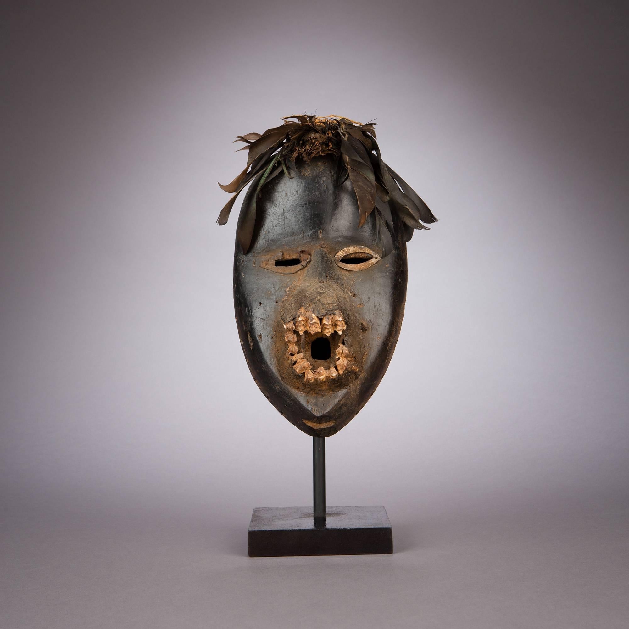 A Dan mask of unusual construction and amazing aesthetic power. Aged metal fitted around the eyes and the rough, earthen treatment around the jagged mouth contrast dramatically with the mask's smooth, lustrous forehead and cheeks. Dark feathers and