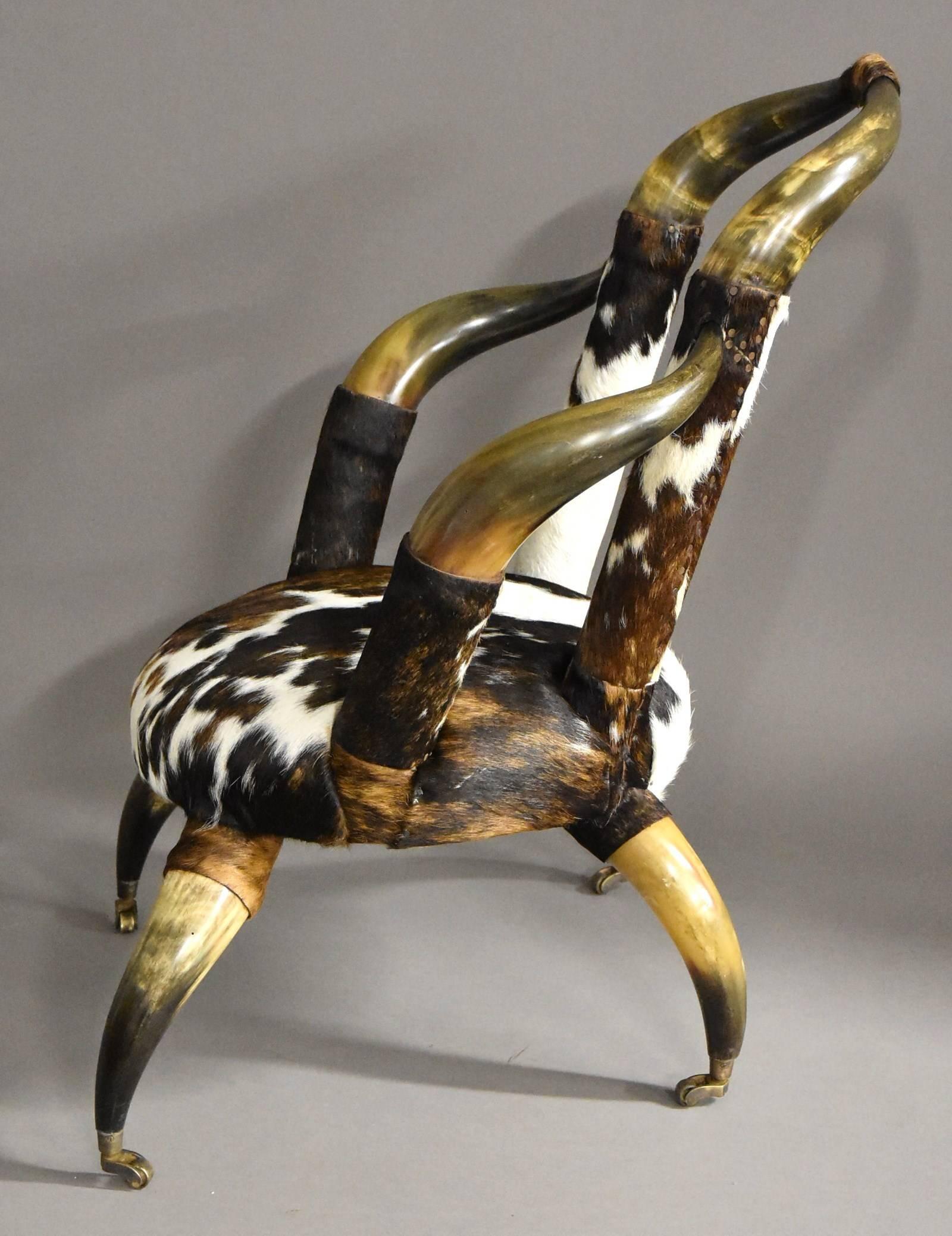 Rare Late 19th Century Decorative Bull Horn Armchair, Re-Upholstered in Cow Hide 1