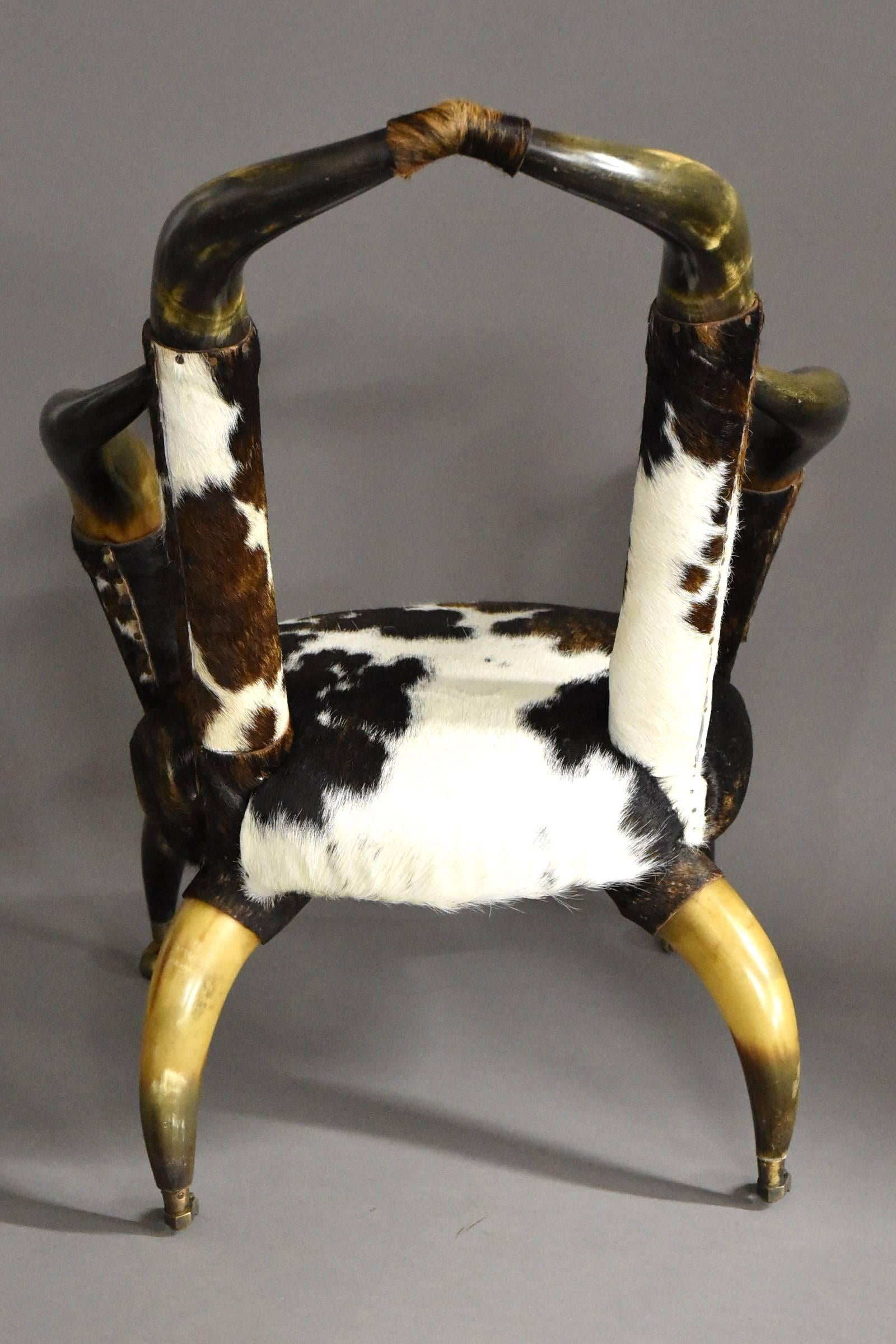 Rare Late 19th Century Decorative Bull Horn Armchair, Re-Upholstered in Cow Hide 3