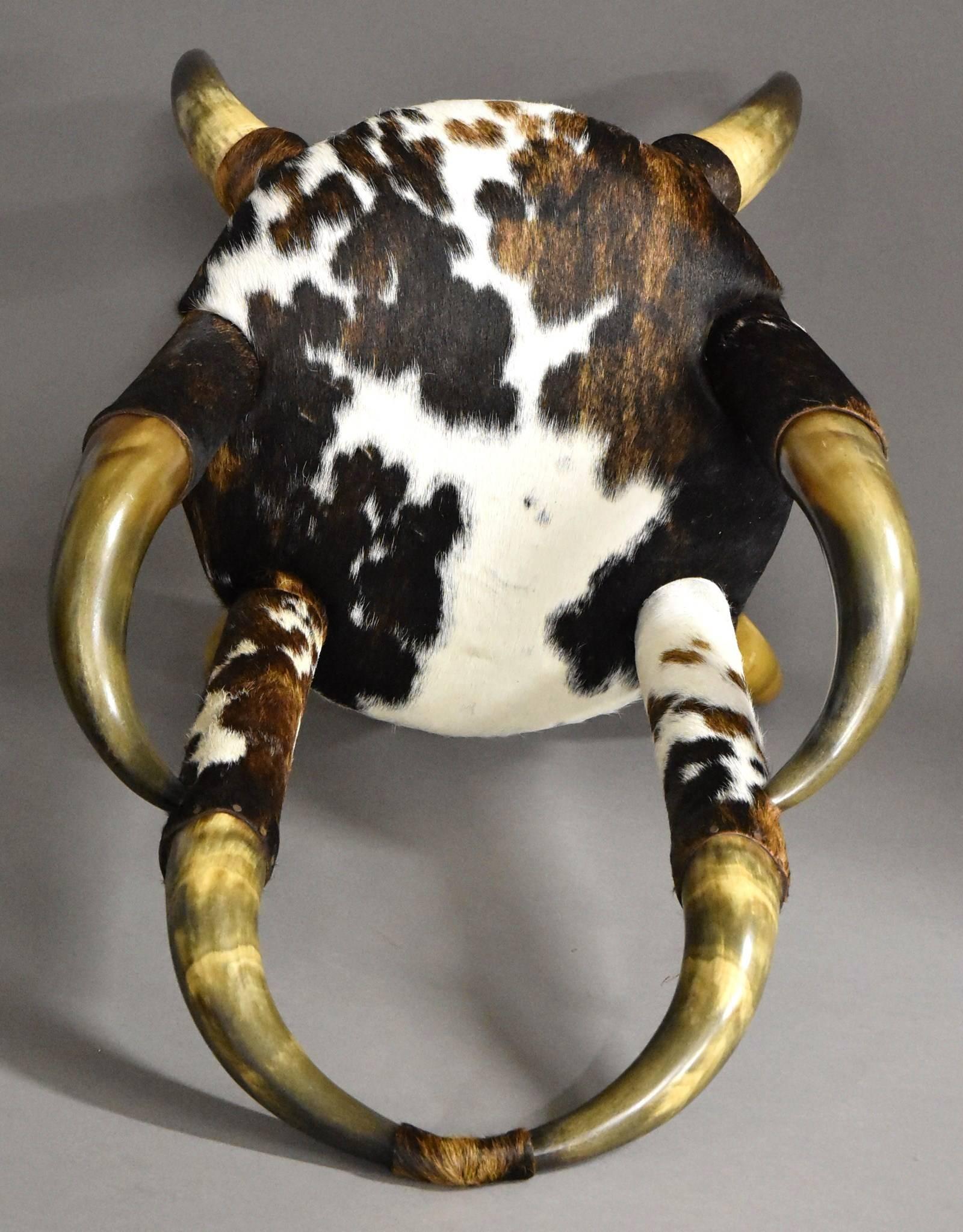 Rare Late 19th Century Decorative Bull Horn Armchair, Re-Upholstered in Cow Hide 4