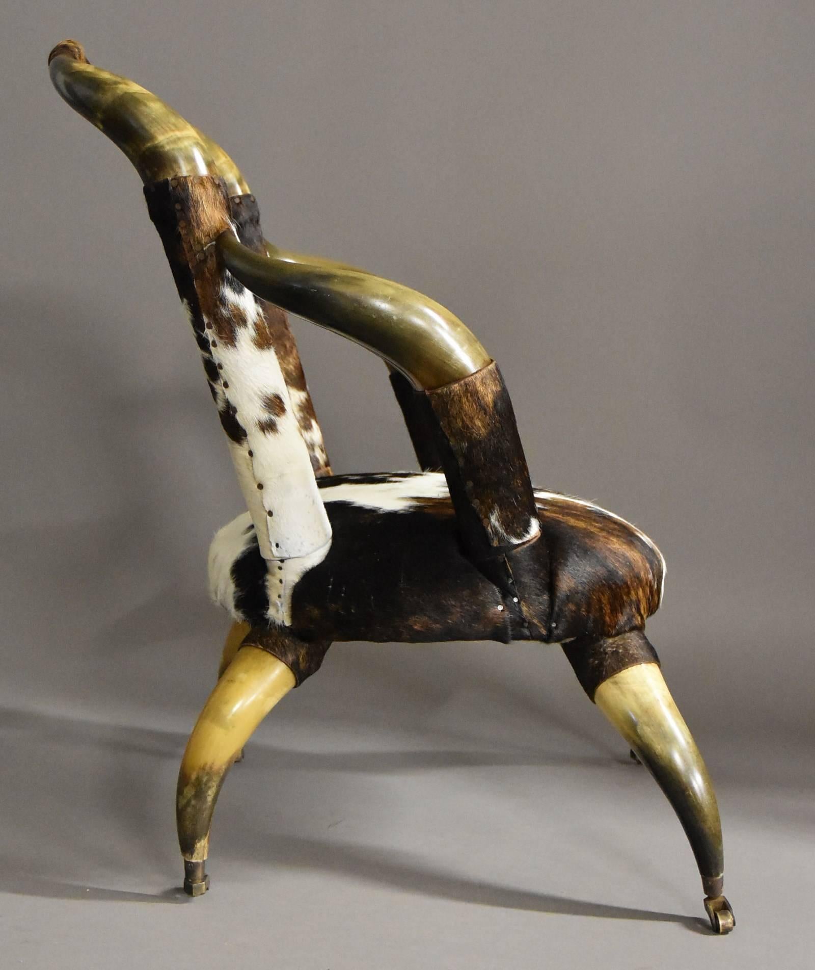 Rare Late 19th Century Decorative Bull Horn Armchair, Re-Upholstered in Cow Hide 5