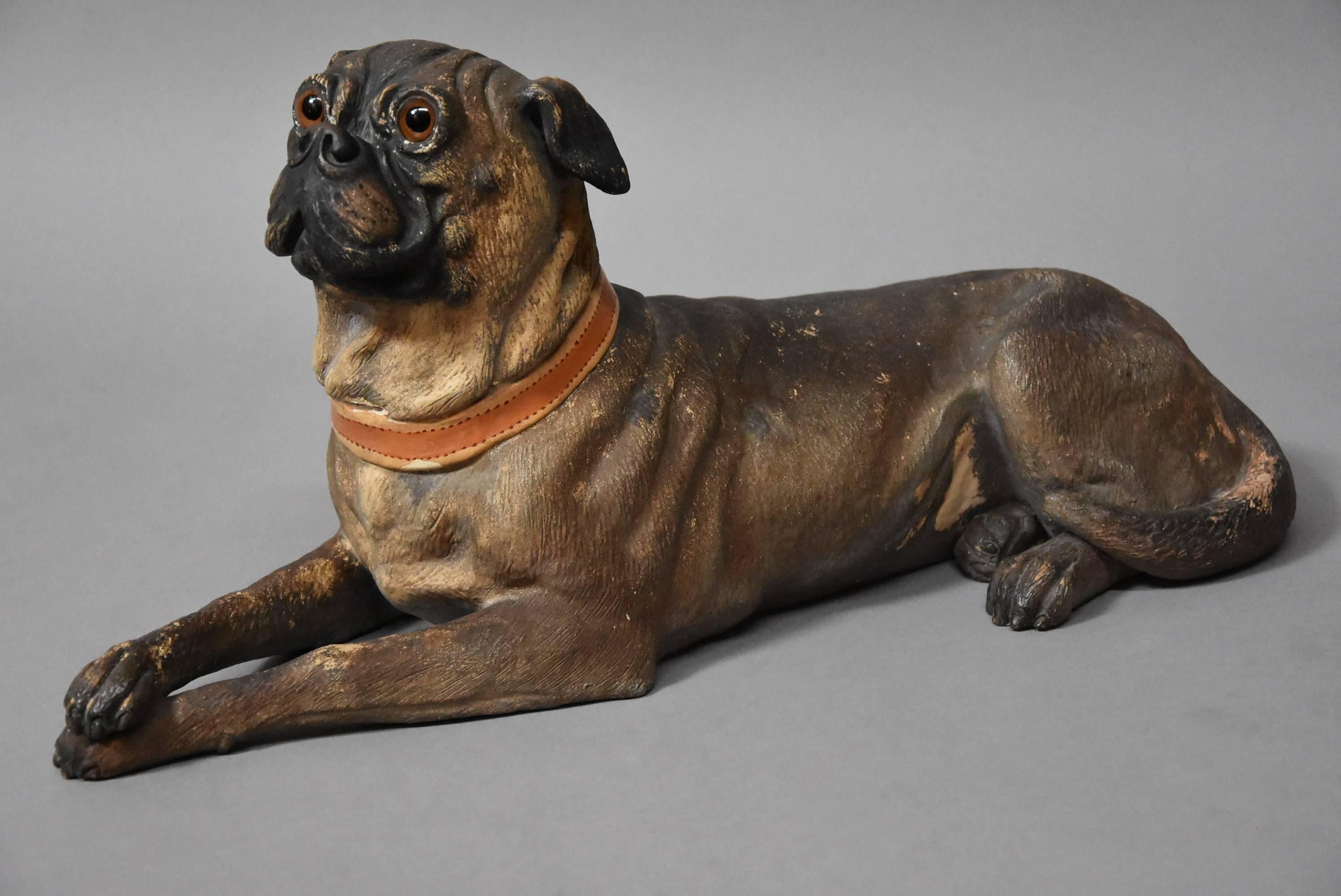 An Austrian late 19th century handcrafted and hand-painted terracotta Pug dog with collar in a reclining pose.

The Pug is depicted reclining with original collar and original glass eyes.

Many such figures are either seated or standing so this