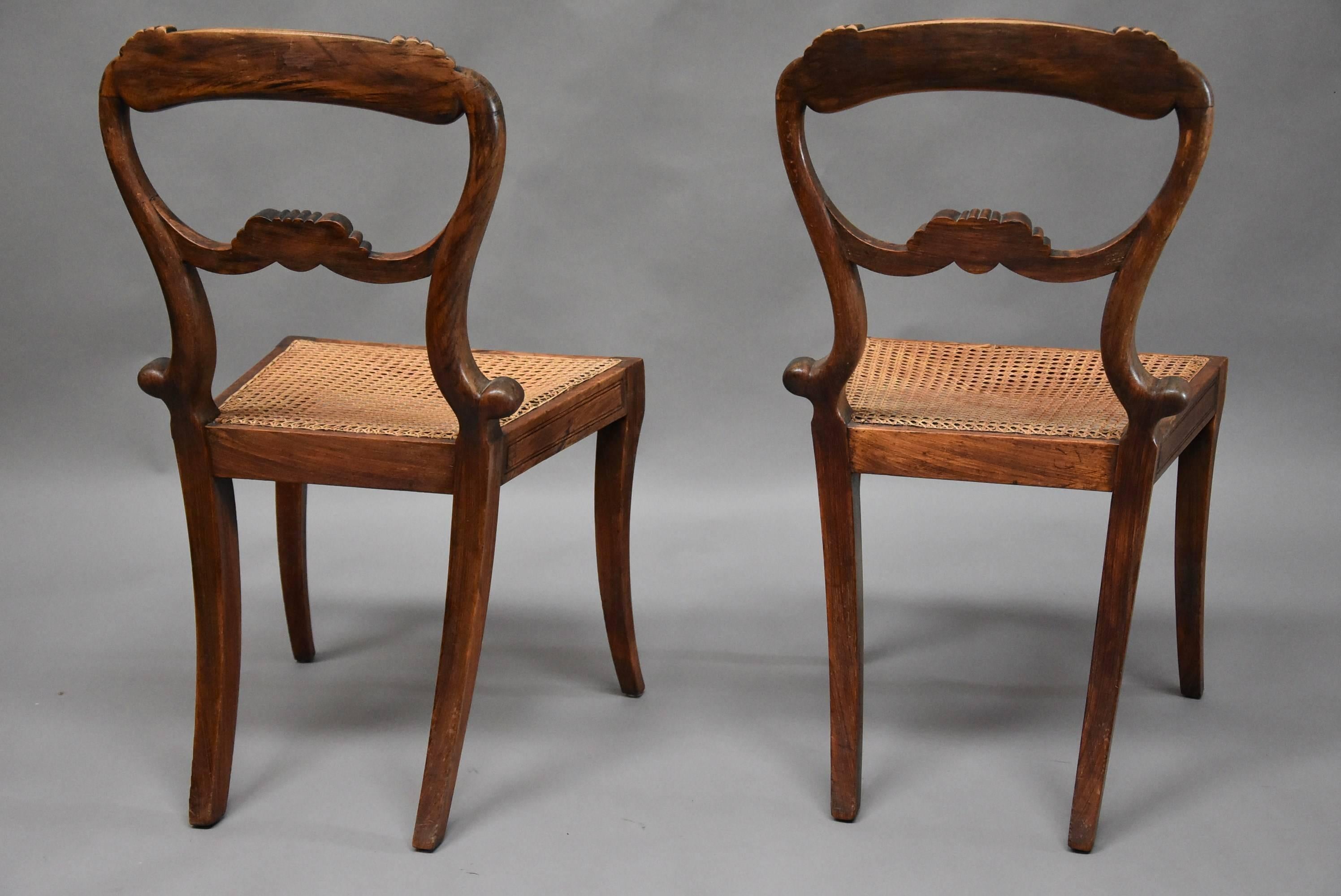 Pair of 19th Century Simulated Rosewood Regency Chairs in the Manner of Gillows 5