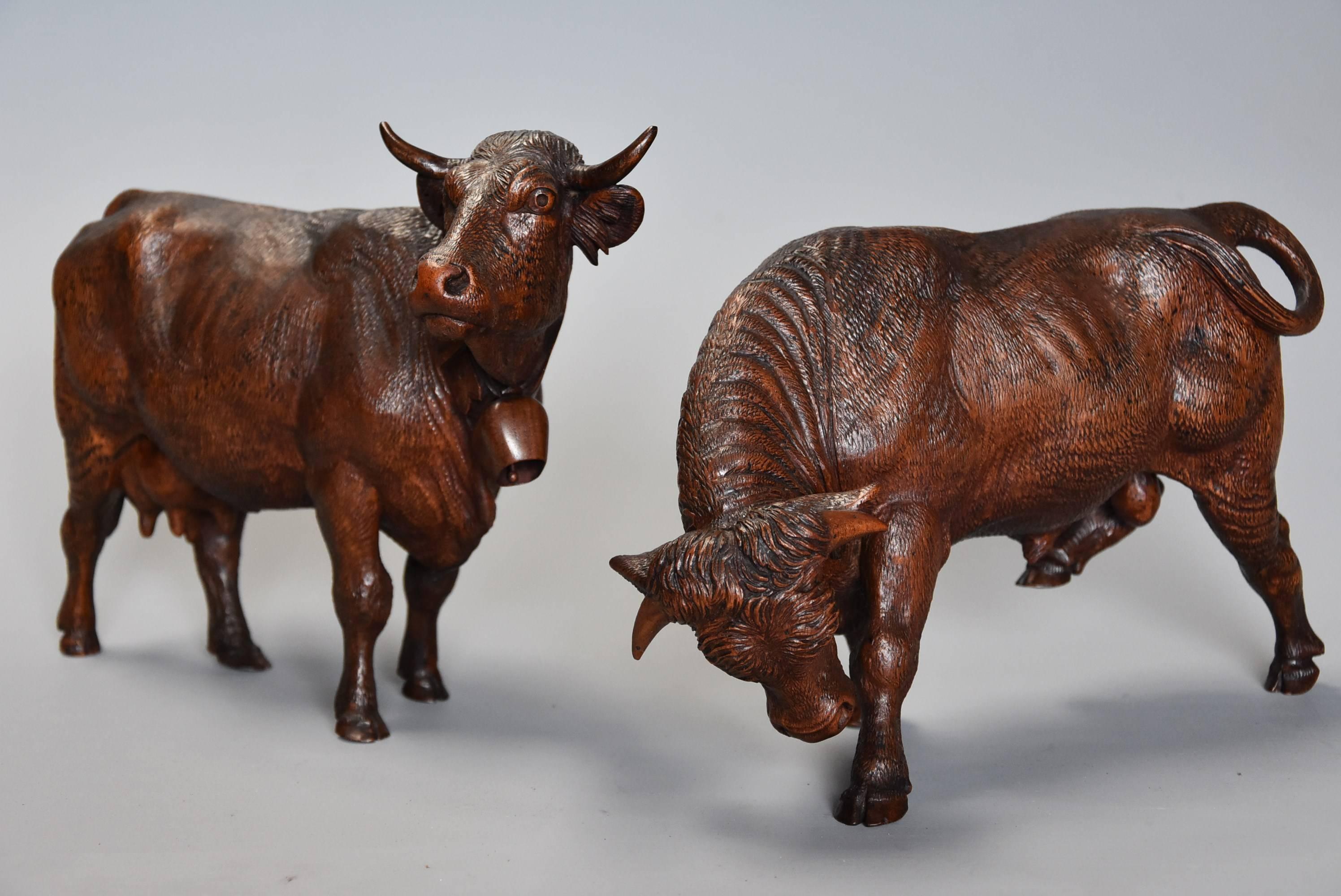 A pair of late 19th century finely carved linden wood Black Forest cows, possibly by The Huggler family.

This pair of superbly carved cows consists of a bull and cow, the figures being freestanding which is unusual but making them much more