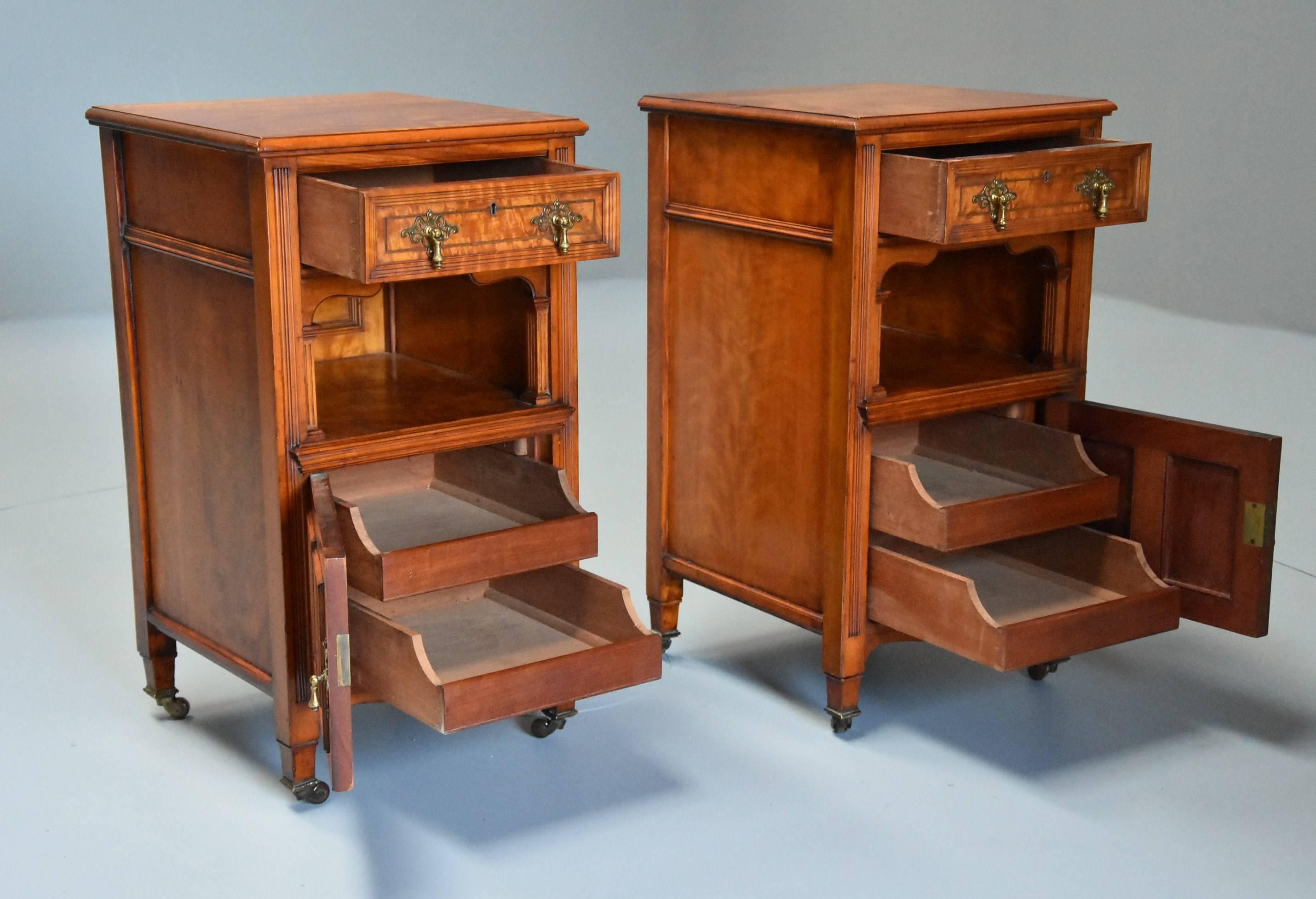 Aesthetic Movement Pair of Late 19th Century Satin Birch Bedside Cabinets with Aesthetic Influence